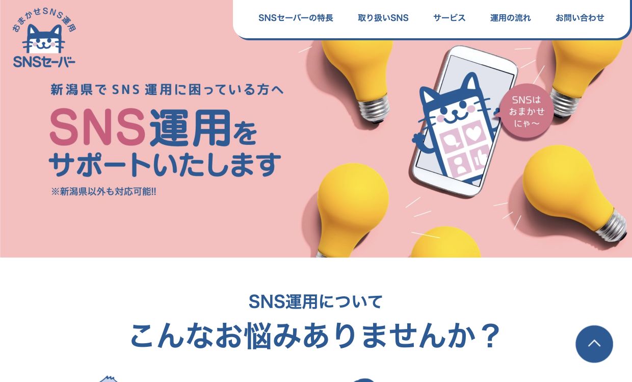 SNSセーバー公式サイトのスクリーンショット